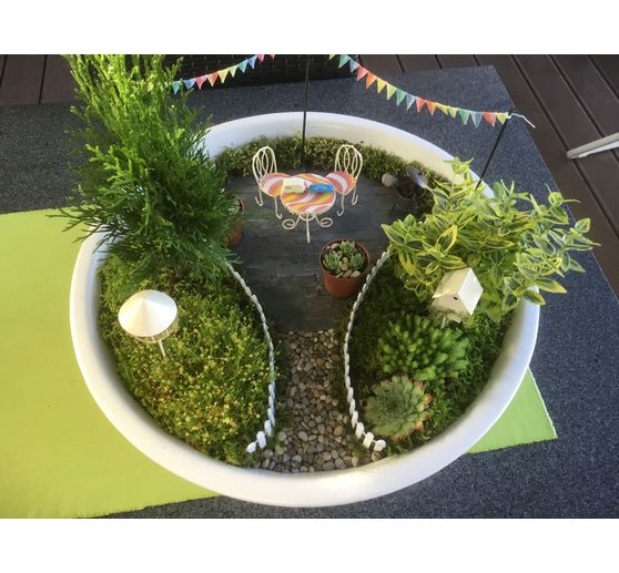 67_Dodo_Mini-Garden