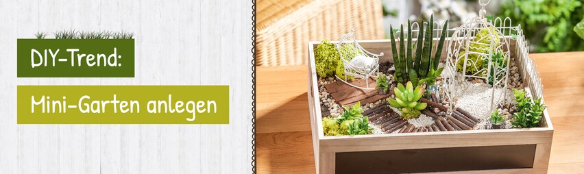 Mini-Gärten online bestellen bei VBS Hobby