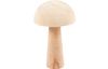 Holz-Pilz