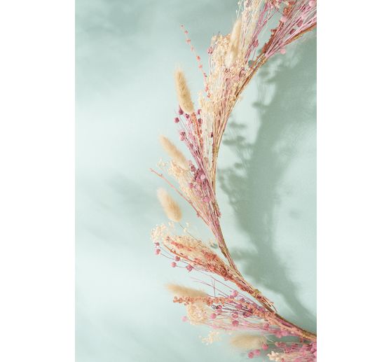 Broom Bloom