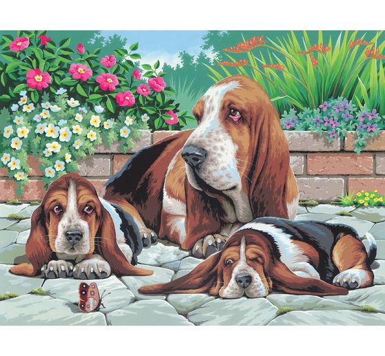 Malen nach Zahlen "Bassethunde"