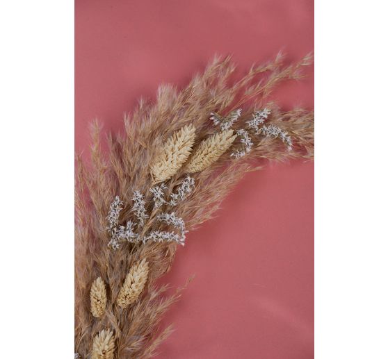 Trockenblumen "Phalaris"