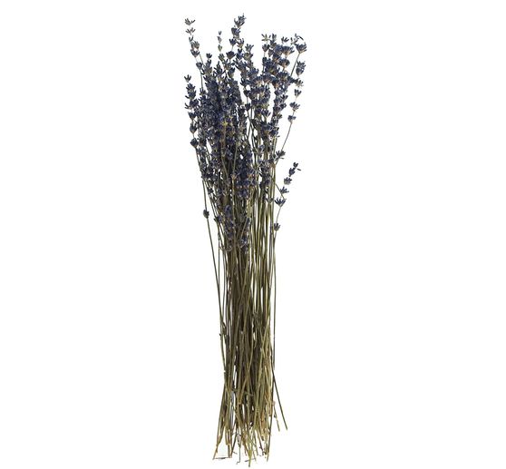 Lavendel natur blau