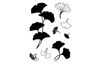 Clear Stamps "Ginkgo", 8 parts