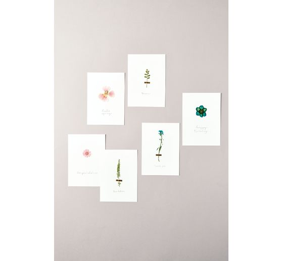 Rico Design Mix Set gepresste Blüten "Rosa Violett"