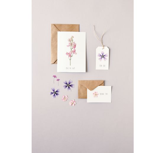 Rico Design Mix Set gepresste Blüten "Rosa Violett"
