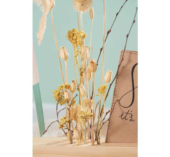 Trockenblumen Set "Distel"