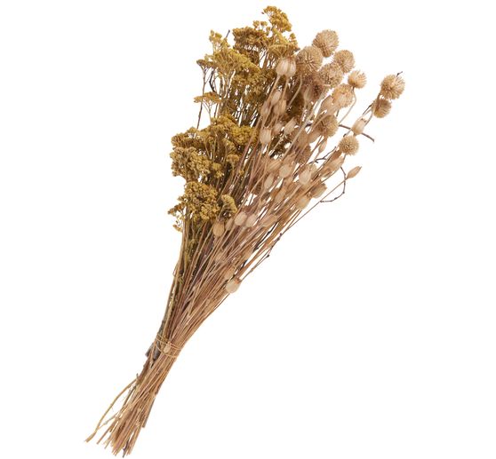 Dried flowers set "Thistle" 