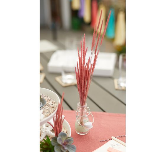 Trockenblumen "Phleum Pratensis"