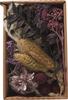 Trockenblüten Potpourri Set "Lilac"