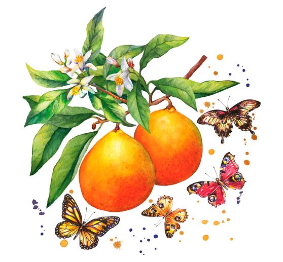 Napkin "Butterflies & oranges"