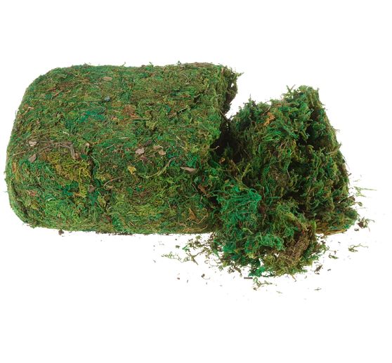 VBS Moos, 750 g