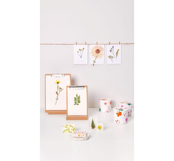 Rico Design Mix Set gepresste Blüten "Rosa Violett"
