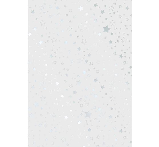 Vellum paper-set "Christmas" gold/silver