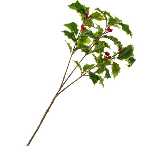 Ilex branch with berries, 40 cm