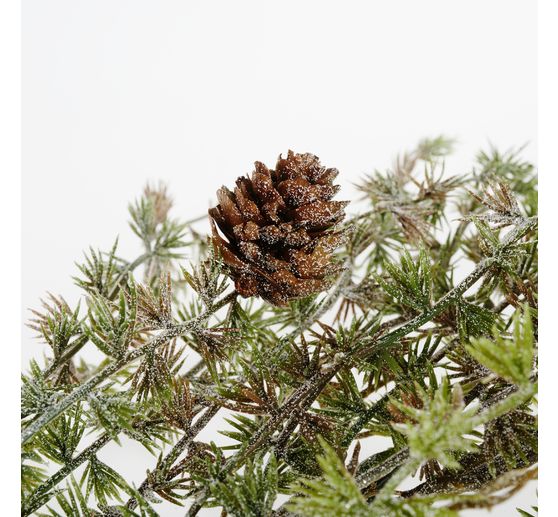 Larch branch, with ice and cones