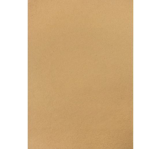 Vintage photo cardboard "Palm frond"