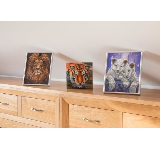 Diamond Painting "Crystal Art Card"