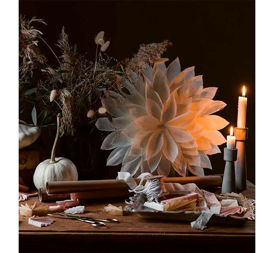 Buch "Wintersterne & Eiskristalle"