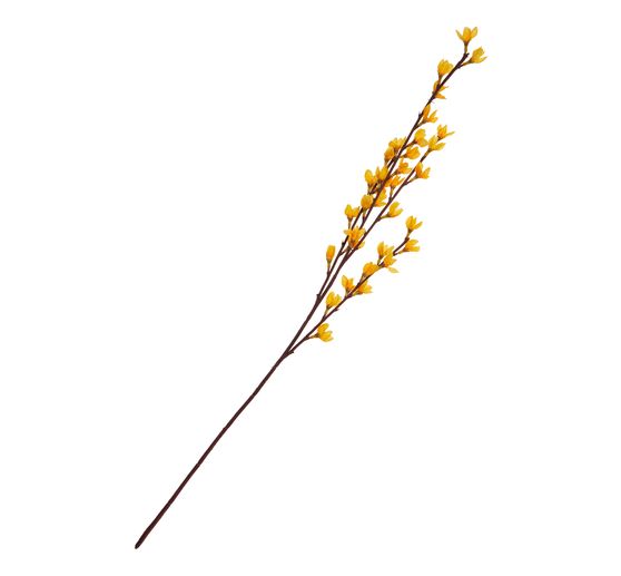 Forsythien Zweig "Fortesa"