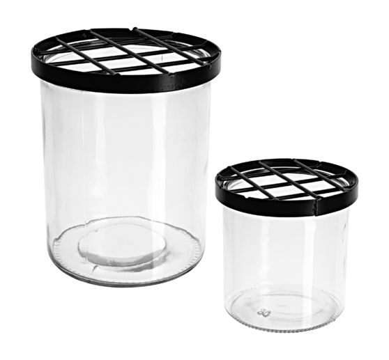 Glasvase mit Steckgitter