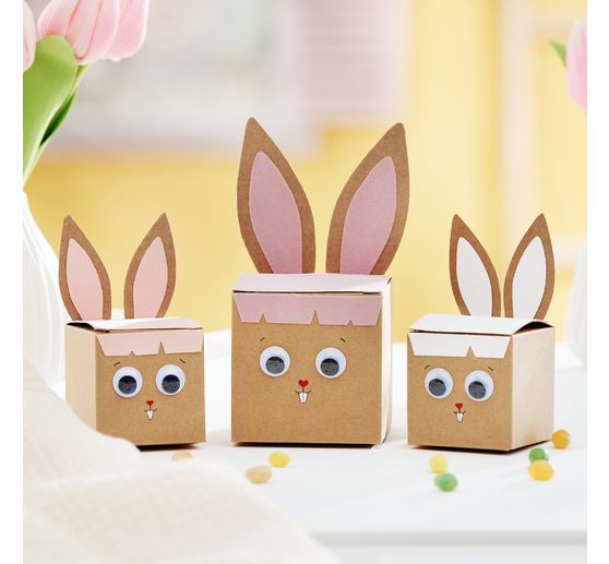 VBS Kraftpapierbox