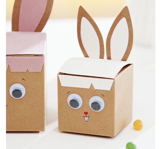 VBS Kraftpapierbox