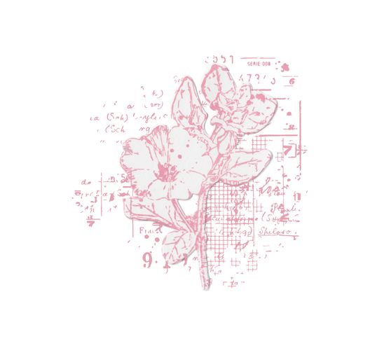 Sizzix Framelits Stanzschablone und Clear Stamps "Floral Mix Cluster"