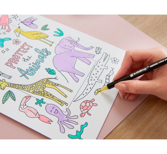 edding 1200 colour pen