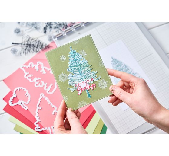 Sizzix Stanzschablone und Clear Stamps "Pine Holidays by 49 and Market"