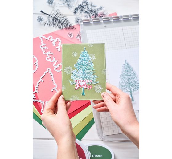 Sizzix Stanzschablone und Clear Stamps "Pine Holidays by 49 and Market"