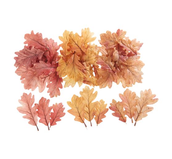 Foliage leaves