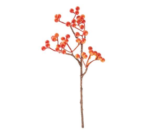 Beeren Pick, Orange