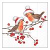 Serviette "Christmas Robins"