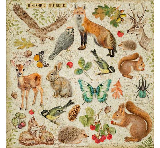 Maxi Scrapbook-Block "Forest"