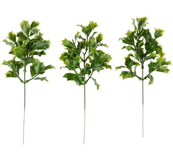 VBS Ilex Zweig