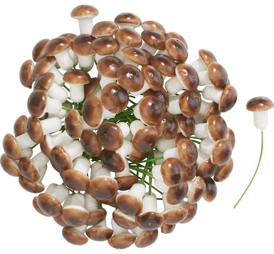 VBS Pilz am Draht, Braun