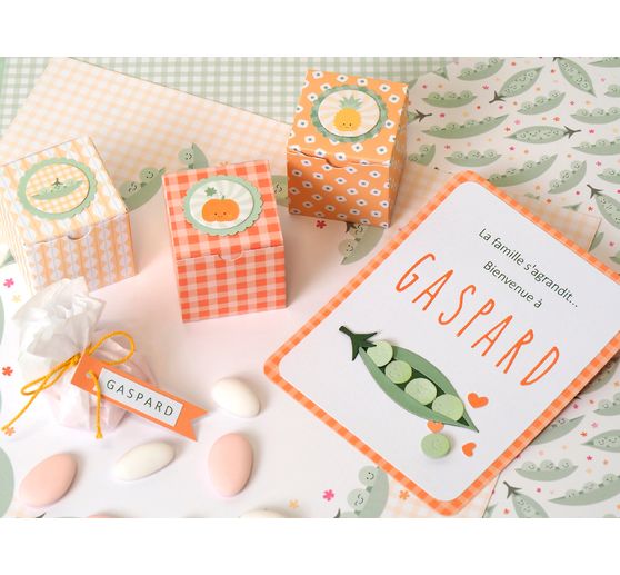 Scrapbook-Block "Vitamine"