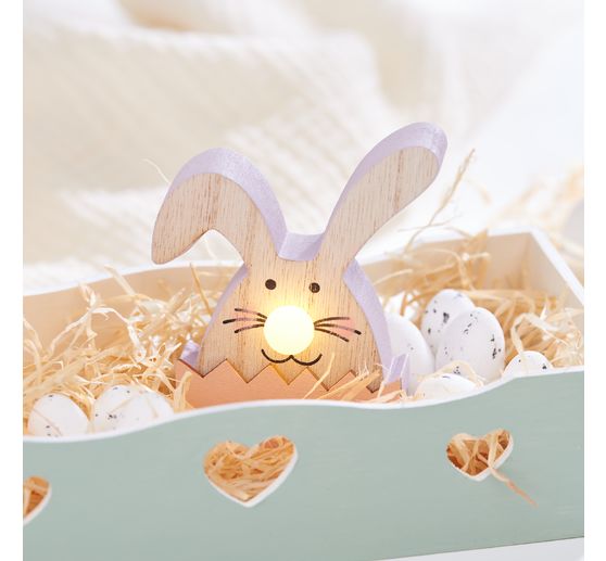 VBS Hase mit LED-Nase