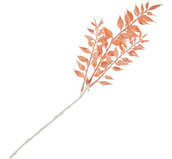 Ruscus-Pick