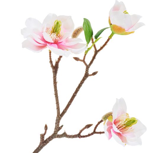 Magnolien-Pick mit 3 Blüten