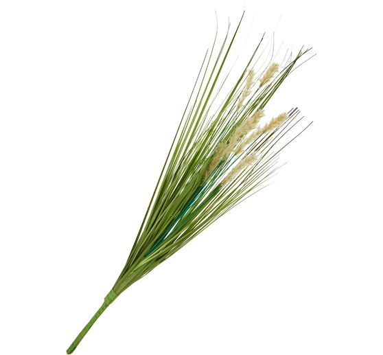 Gras mit Fruchtstand