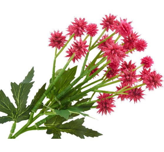 Distel Zweig