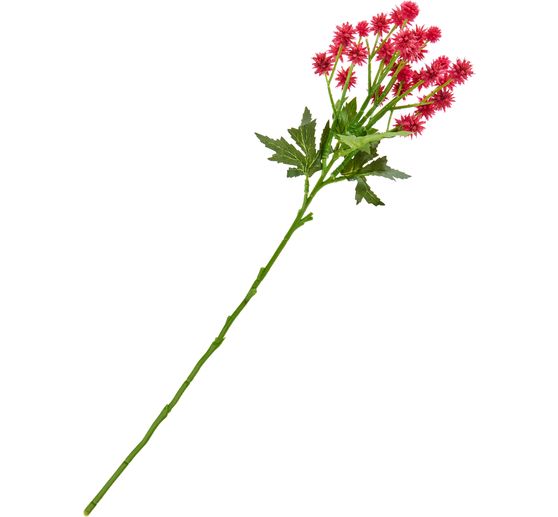 Distel Zweig