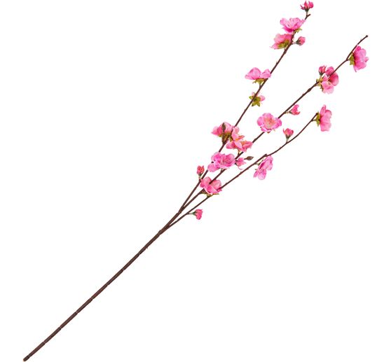 Kirschblüten Zweig