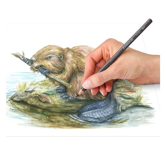 Staedtler Aquarellstifte tinted, 12er-Set