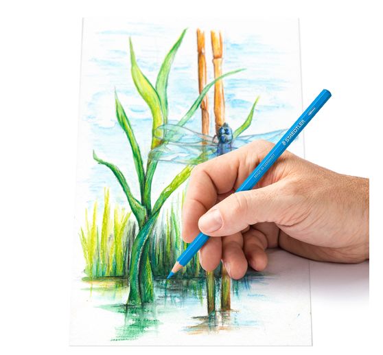 Staedtler Aquarell-Buntstifte, 12er Set