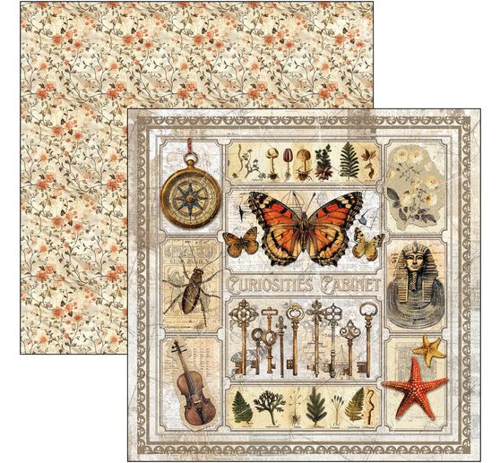 Scrapbook paper "Cabinet of Curiosities"