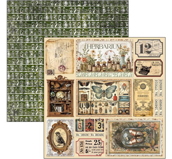 Scrapbook paper "Cabinet of Curiosities"