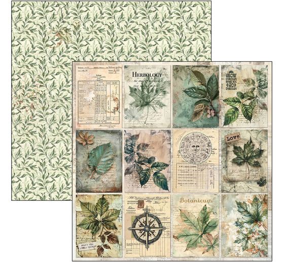 Scrapbook paper "Cabinet of Curiosities"